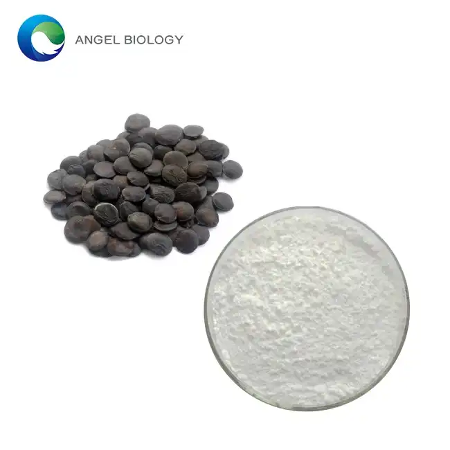 How Stable is Griffonia Seed Extract Powder?